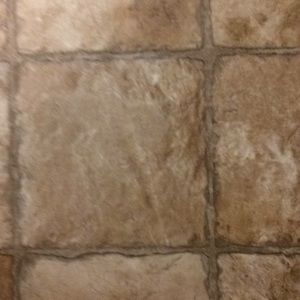 Meet your Posher, Jodi